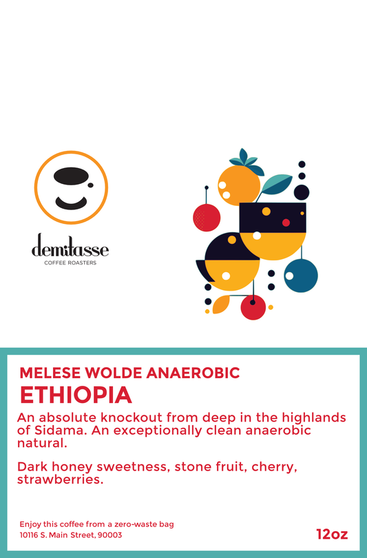 Ethiopia Melese Wolde